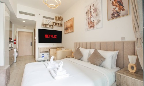 modern amenities studio homes