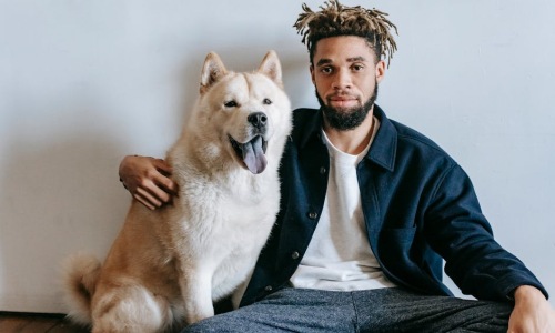 dog friendly apartments - dog friendly apts near me dog friendly apartments - dog friendly apts near me
