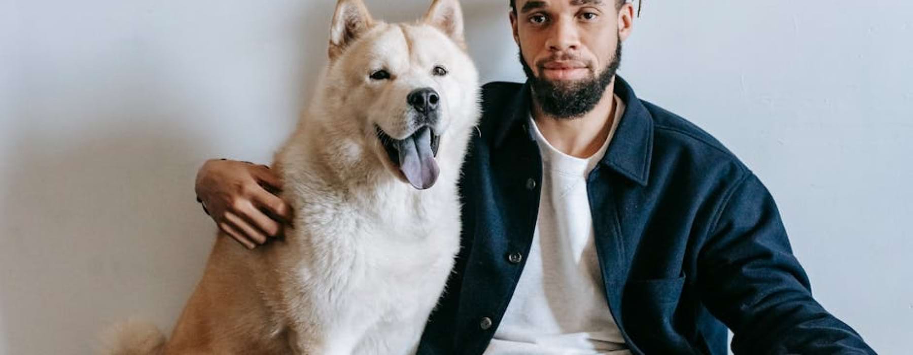 dog friendly apartments - dog friendly apts near me