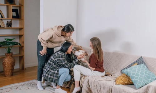 pet friendly apartments - pet friendly apts for rent near me pet friendly apartments - pet friendly apts for rent near me