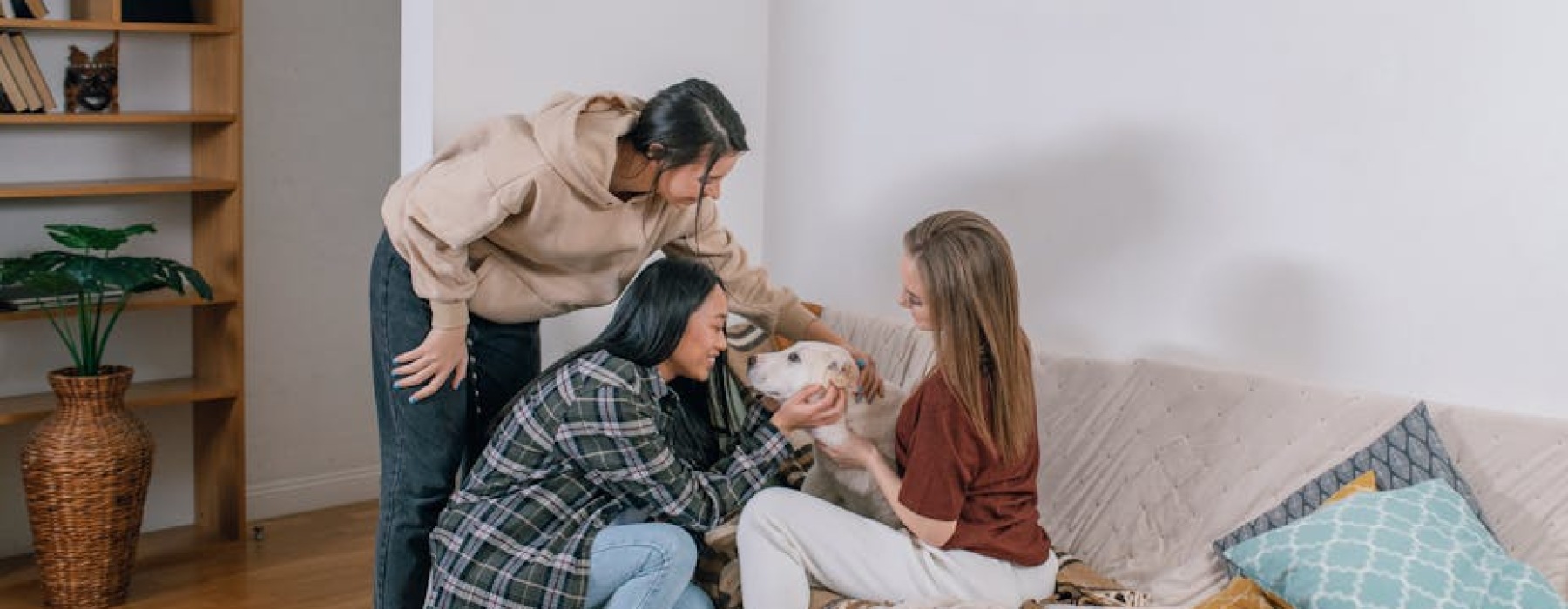 pet friendly apartments - pet friendly apts for rent near me