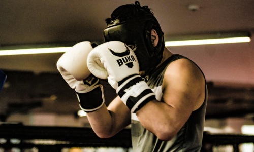 basic boxing training